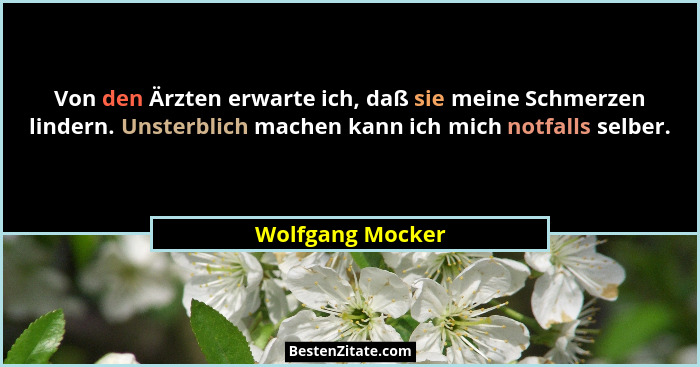 Von den Ärzten erwarte ich, daß sie meine Schmerzen lindern. Unsterblich machen kann ich mich notfalls selber.... - Wolfgang Mocker
