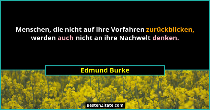 Menschen, die nicht auf ihre Vorfahren zurückblicken, werden auch nicht an ihre Nachwelt denken.... - Edmund Burke