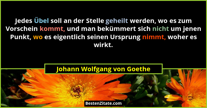 Jedes Übel soll an der Stelle geheilt werden, wo es zum Vorschein kommt, und man bekümmert sich nicht um jenen Punkt, wo... - Johann Wolfgang von Goethe