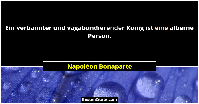 Ein verbannter und vagabundierender König ist eine alberne Person.... - Napoléon Bonaparte