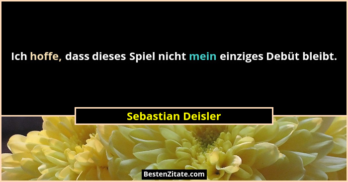 Ich hoffe, dass dieses Spiel nicht mein einziges Debüt bleibt.... - Sebastian Deisler