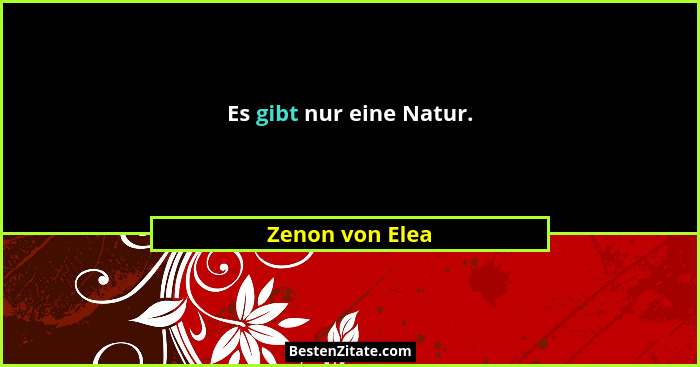 Es gibt nur eine Natur.... - Zenon von Elea