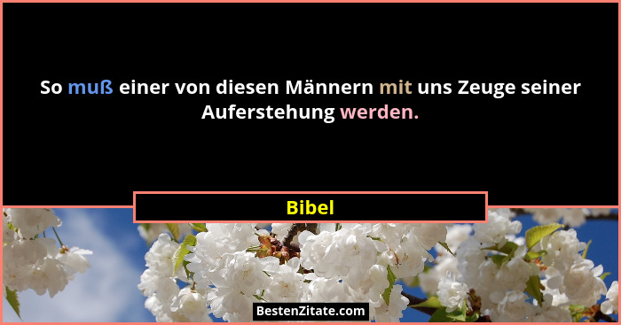 So muß einer von diesen Männern mit uns Zeuge seiner Auferstehung werden.... - Bibel