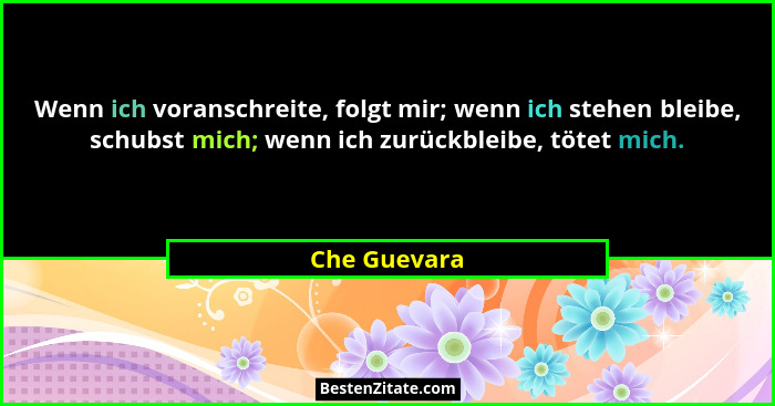 Wenn ich voranschreite, folgt mir; wenn ich stehen bleibe, schubst mich; wenn ich zurückbleibe, tötet mich.... - Che Guevara