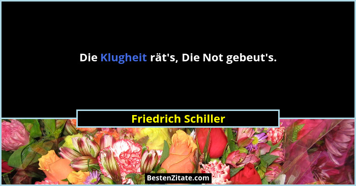Die Klugheit rät's, Die Not gebeut's.... - Friedrich Schiller