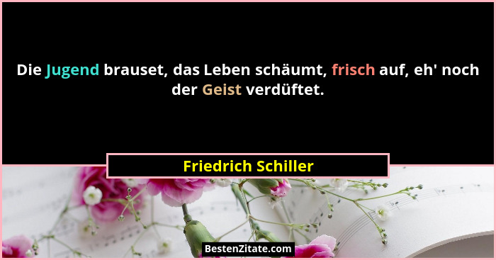 Die Jugend brauset, das Leben schäumt, frisch auf, eh' noch der Geist verdüftet.... - Friedrich Schiller