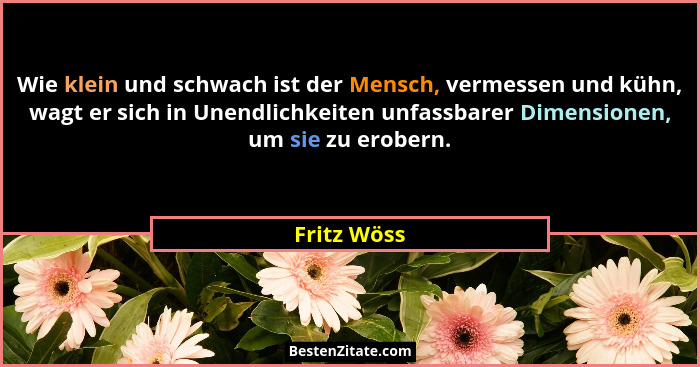 Wie klein und schwach ist der Mensch, vermessen und kühn, wagt er sich in Unendlichkeiten unfassbarer Dimensionen, um sie zu erobern.... - Fritz Wöss