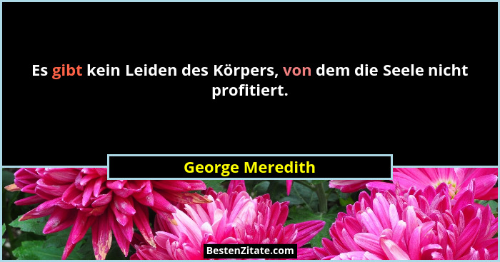Es gibt kein Leiden des Körpers, von dem die Seele nicht profitiert.... - George Meredith
