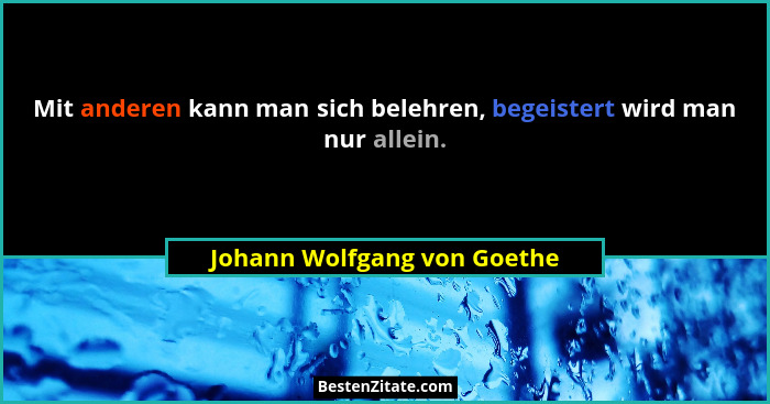 Johann Wolfgang Von Goethe Mit Anderen Kann Man Sich Beleh
