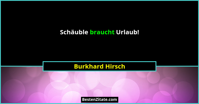 Schäuble braucht Urlaub!... - Burkhard Hirsch