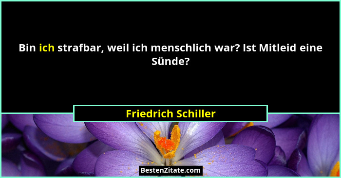 Bin ich strafbar, weil ich menschlich war? Ist Mitleid eine Sünde?... - Friedrich Schiller