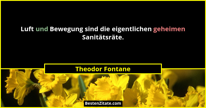 Luft und Bewegung sind die eigentlichen geheimen Sanitätsräte.... - Theodor Fontane
