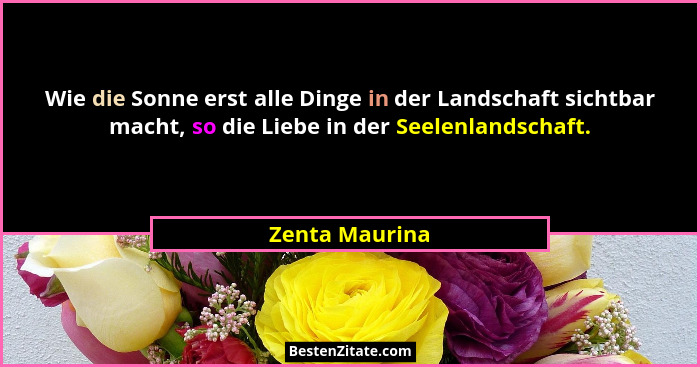 Wie die Sonne erst alle Dinge in der Landschaft sichtbar macht, so die Liebe in der Seelenlandschaft.... - Zenta Maurina