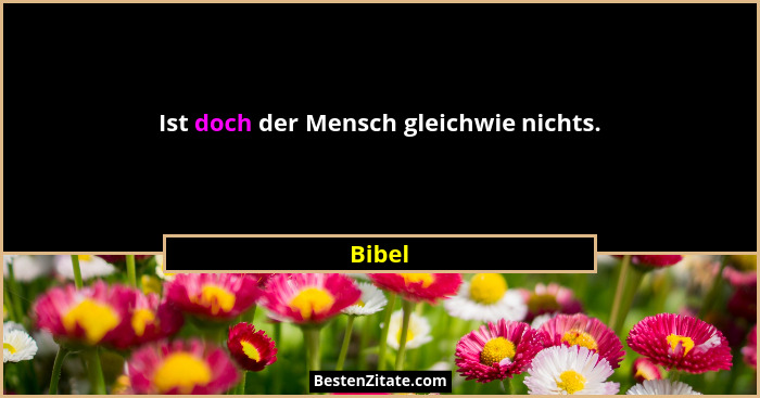 Ist doch der Mensch gleichwie nichts.... - Bibel