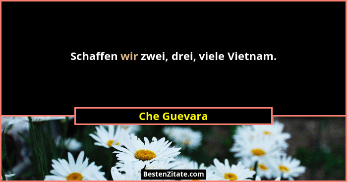 Schaffen wir zwei, drei, viele Vietnam.... - Che Guevara