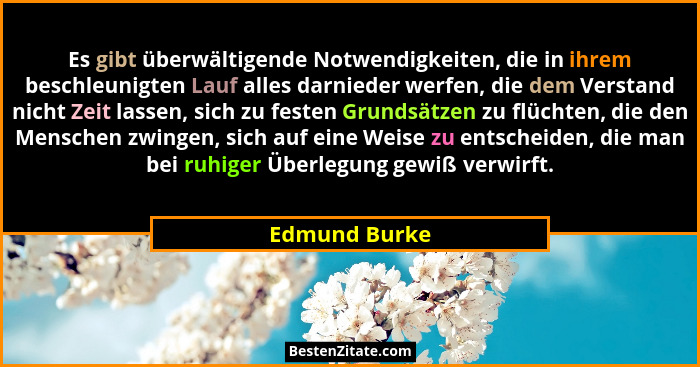 Es gibt überwältigende Notwendigkeiten, die in ihrem beschleunigten Lauf alles darnieder werfen, die dem Verstand nicht Zeit lassen, si... - Edmund Burke