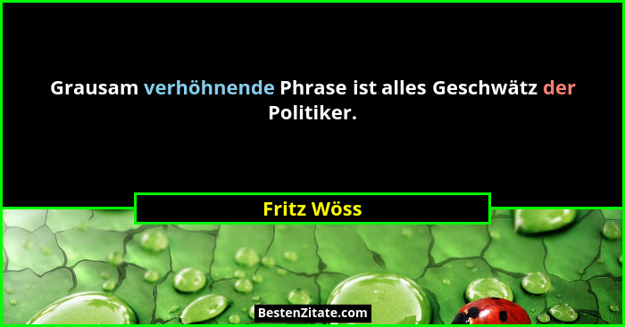 Grausam verhöhnende Phrase ist alles Geschwätz der Politiker.... - Fritz Wöss