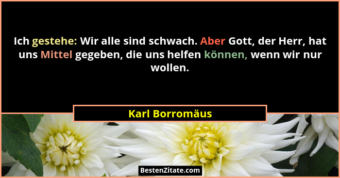 Ich gestehe: Wir alle sind schwach. Aber Gott, der Herr, hat uns Mittel gegeben, die uns helfen können, wenn wir nur wollen.... - Karl Borromäus