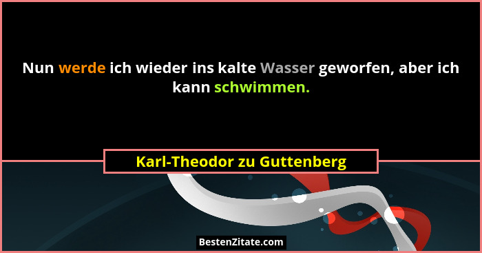 Nun werde ich wieder ins kalte Wasser geworfen, aber ich kann schwimmen.... - Karl-Theodor zu Guttenberg