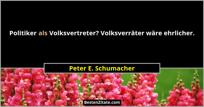 Politiker als Volksvertreter? Volksverräter wäre ehrlicher.... - Peter E. Schumacher