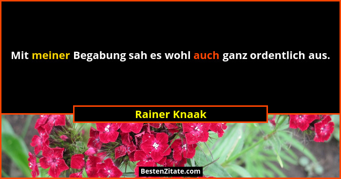 Mit meiner Begabung sah es wohl auch ganz ordentlich aus.... - Rainer Knaak
