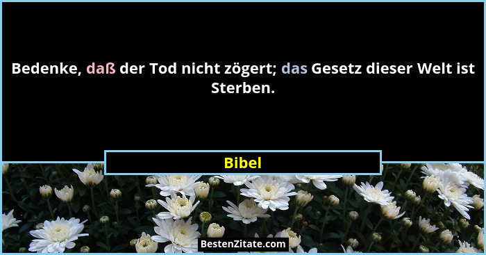 Bedenke, daß der Tod nicht zögert; das Gesetz dieser Welt ist Sterben.... - Bibel
