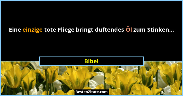 Eine einzige tote Fliege bringt duftendes Öl zum Stinken...... - Bibel