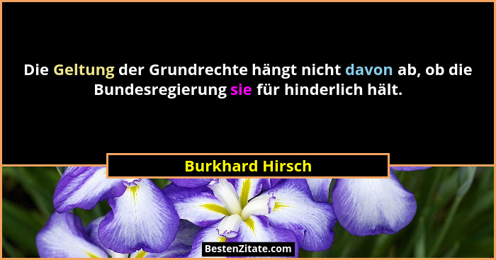Die Geltung der Grundrechte hängt nicht davon ab, ob die Bundesregierung sie für hinderlich hält.... - Burkhard Hirsch