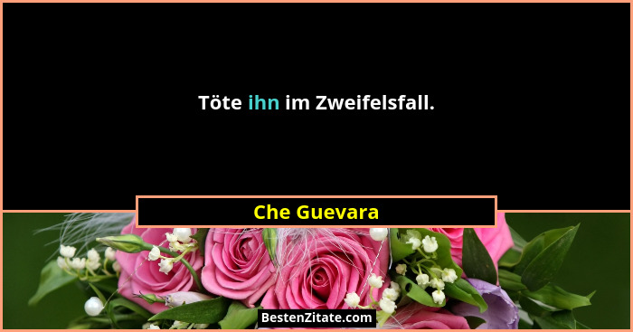 Töte ihn im Zweifelsfall.... - Che Guevara