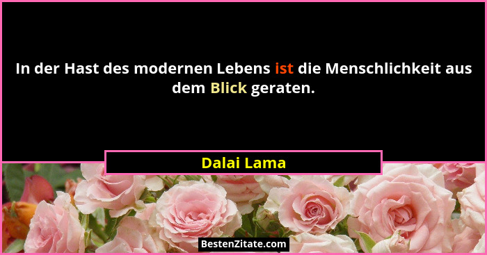 In der Hast des modernen Lebens ist die Menschlichkeit aus dem Blick geraten.... - Dalai Lama