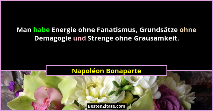 Man habe Energie ohne Fanatismus, Grundsätze ohne Demagogie und Strenge ohne Grausamkeit.... - Napoléon Bonaparte