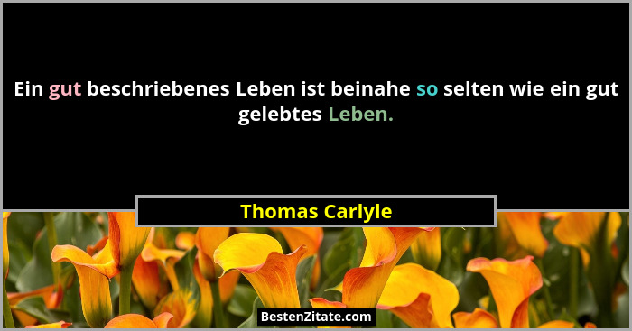 Ein gut beschriebenes Leben ist beinahe so selten wie ein gut gelebtes Leben.... - Thomas Carlyle