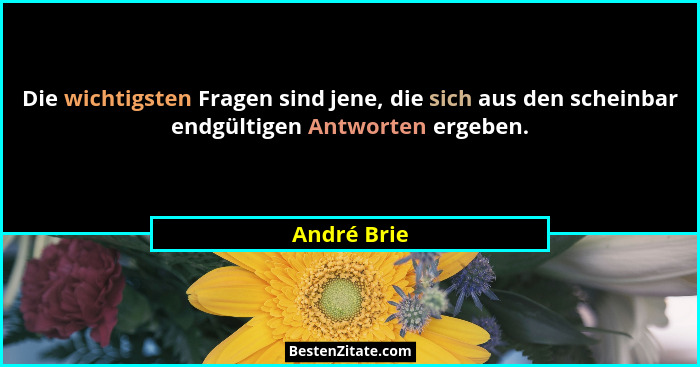 Die wichtigsten Fragen sind jene, die sich aus den scheinbar endgültigen Antworten ergeben.... - André Brie