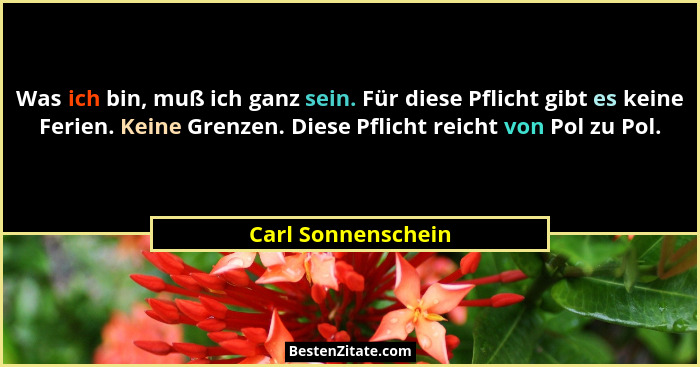 Was ich bin, muß ich ganz sein. Für diese Pflicht gibt es keine Ferien. Keine Grenzen. Diese Pflicht reicht von Pol zu Pol.... - Carl Sonnenschein