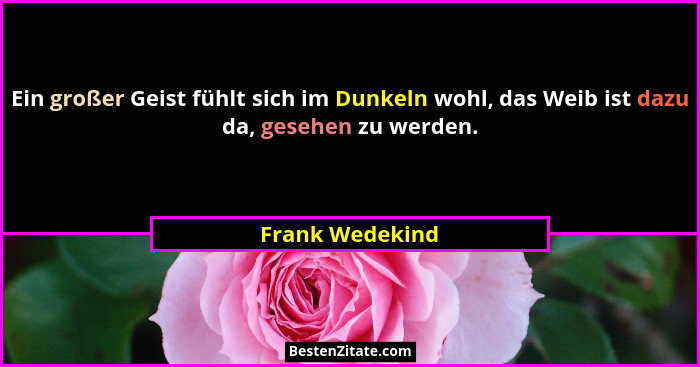 Ein großer Geist fühlt sich im Dunkeln wohl, das Weib ist dazu da, gesehen zu werden.... - Frank Wedekind