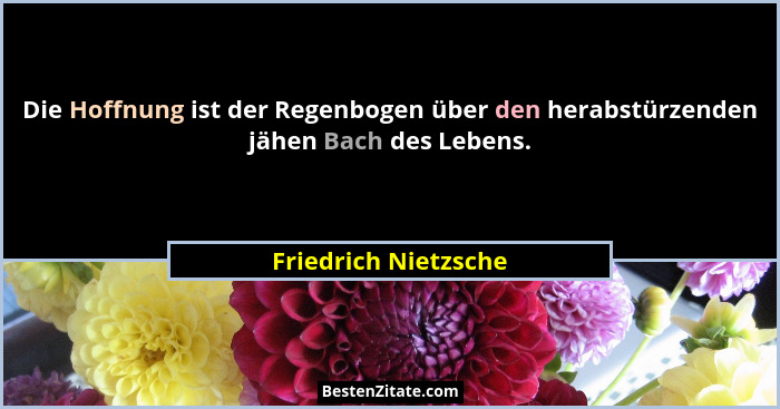 Die Hoffnung ist der Regenbogen über den herabstürzenden jähen Bach des Lebens.... - Friedrich Nietzsche