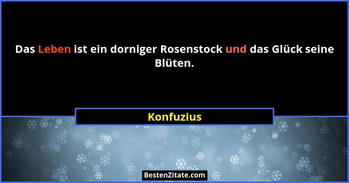 Das Leben ist ein dorniger Rosenstock und das Glück seine Blüten.... - Konfuzius