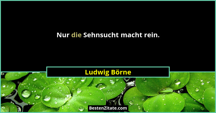Nur die Sehnsucht macht rein.... - Ludwig Börne