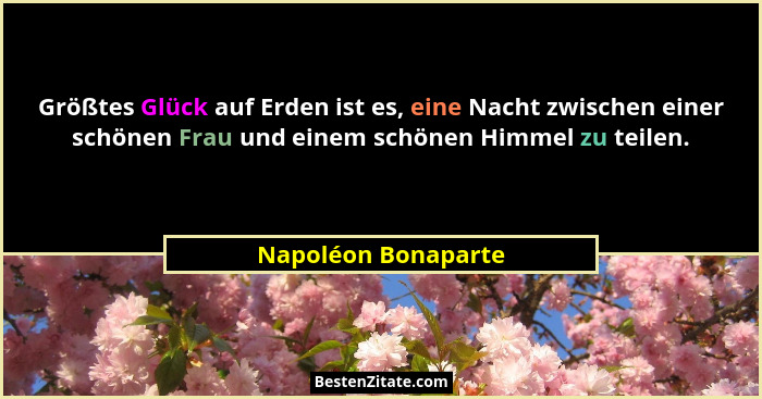 Größtes Glück auf Erden ist es, eine Nacht zwischen einer schönen Frau und einem schönen Himmel zu teilen.... - Napoléon Bonaparte