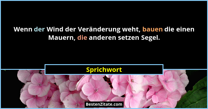 Wenn der Wind der Veränderung weht, bauen die einen Mauern, die anderen setzen Segel.... - Sprichwort