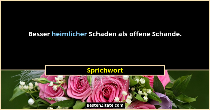 Besser heimlicher Schaden als offene Schande.... - Sprichwort