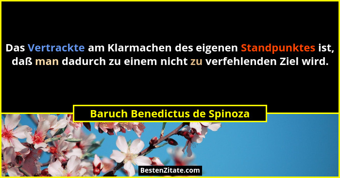 Das Vertrackte am Klarmachen des eigenen Standpunktes ist, daß man dadurch zu einem nicht zu verfehlenden Ziel wird.... - Baruch Benedictus de Spinoza