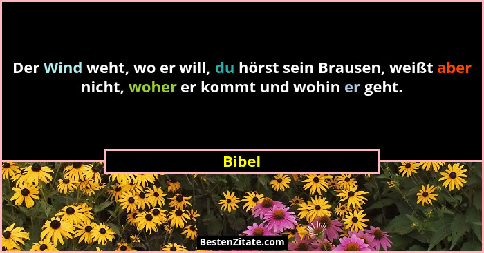 Der Wind weht, wo er will, du hörst sein Brausen, weißt aber nicht, woher er kommt und wohin er geht.... - Bibel