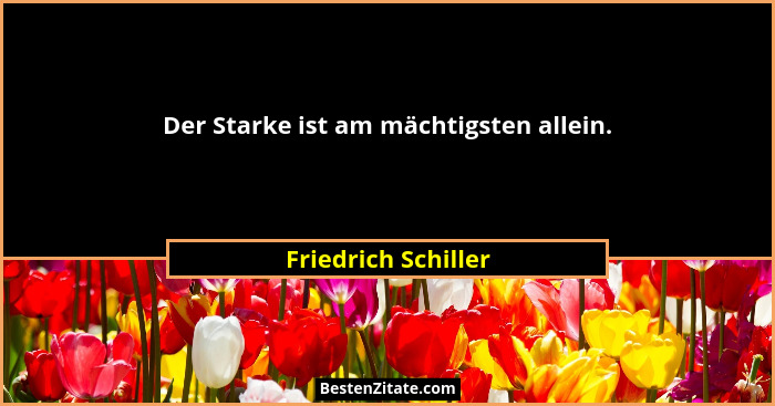 Der Starke ist am mächtigsten allein.... - Friedrich Schiller