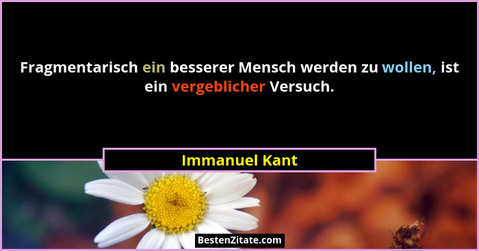 Fragmentarisch ein besserer Mensch werden zu wollen, ist ein vergeblicher Versuch.... - Immanuel Kant