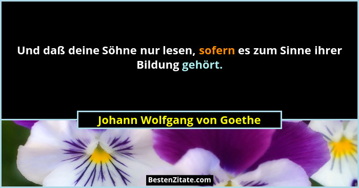 Und daß deine Söhne nur lesen, sofern es zum Sinne ihrer Bildung gehört.... - Johann Wolfgang von Goethe