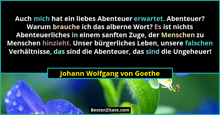 Auch mich hat ein liebes Abenteuer erwartet. Abenteuer? Warum brauche ich das alberne Wort? Es ist nichts Abenteuerliches... - Johann Wolfgang von Goethe