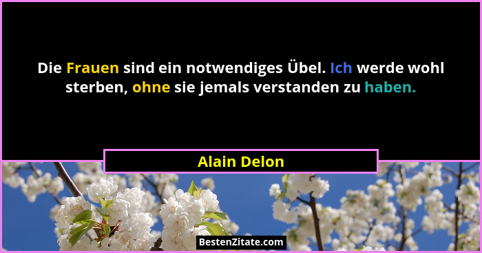 Die Frauen sind ein notwendiges Übel. Ich werde wohl sterben, ohne sie jemals verstanden zu haben.... - Alain Delon