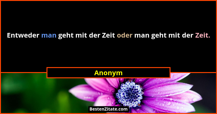 Entweder man geht mit der Zeit oder man geht mit der Zeit.... - Anonym