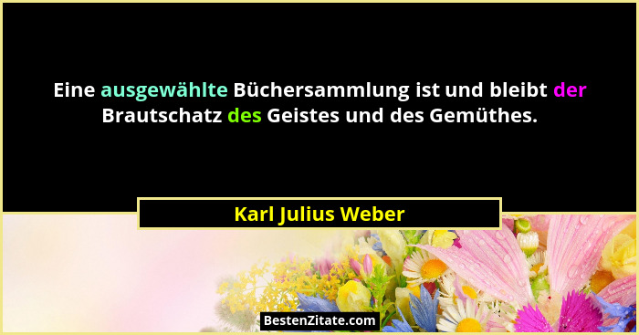 Eine ausgewählte Büchersammlung ist und bleibt der Brautschatz des Geistes und des Gemüthes.... - Karl Julius Weber
